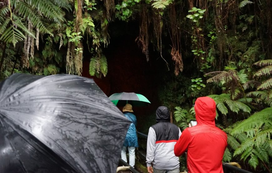 Big Island Hilo Volcano Day Tour from Oahu