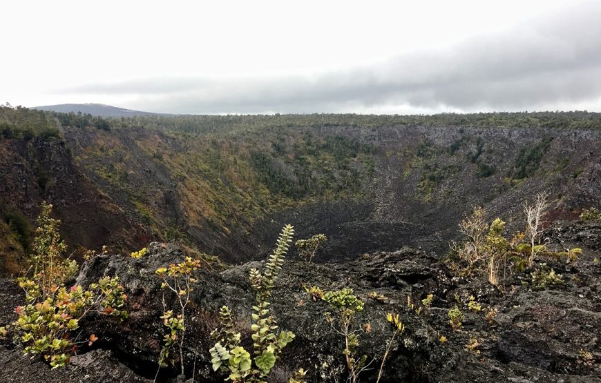 Big Island Hilo Volcano Day Tour from Oahu