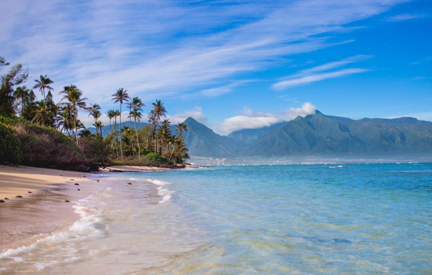 Oahu Private Tour with Mercedes Sprinter & New Luxury Vehicles