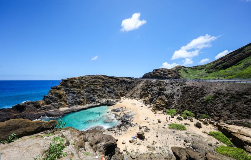 Oahu Private Tour with Mercedes Sprinter & New Luxury Vehicles