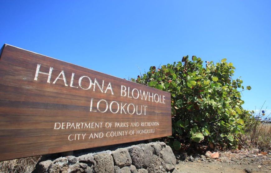 Oahu Private Tour with Mercedes Sprinter & New Luxury Vehicles