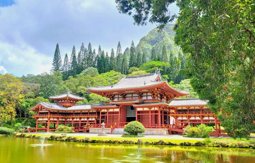 Oahu Private Tour with Mercedes Sprinter & New Luxury Vehicles