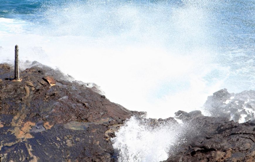 Oahu Private Tour with Mercedes Sprinter & New Luxury Vehicles