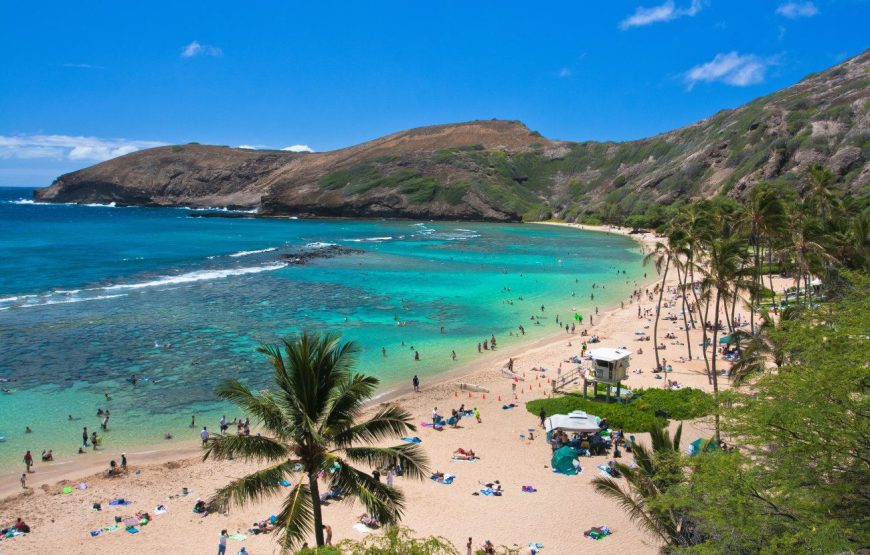 Oahu Private Tour with Mercedes Sprinter & New Luxury Vehicles