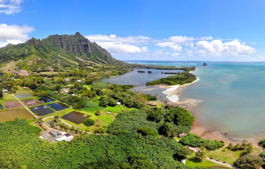 Oahu Private Tour with Mercedes Sprinter & New Luxury Vehicles