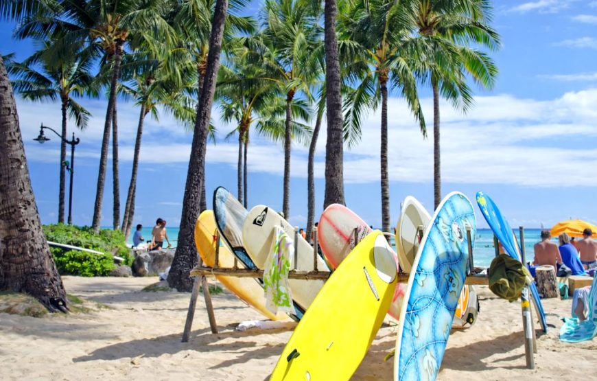 Oahu Private Tour with Mercedes Sprinter & New Luxury Vehicles