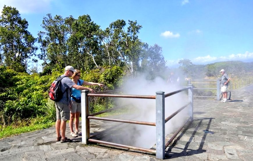 Hawaii Hilo & Volcano Day Tour  PU from Cruise or Airport