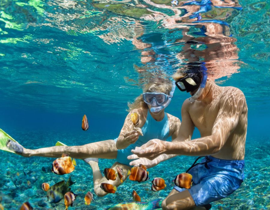 Hawaii activities