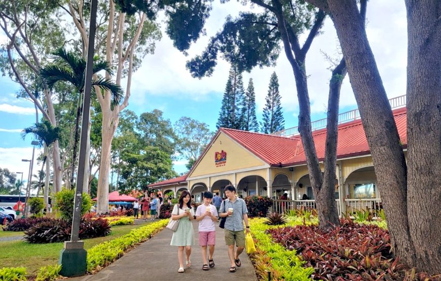 Best of Oahu: Circle Island Day Tour with Byodo-In Temple