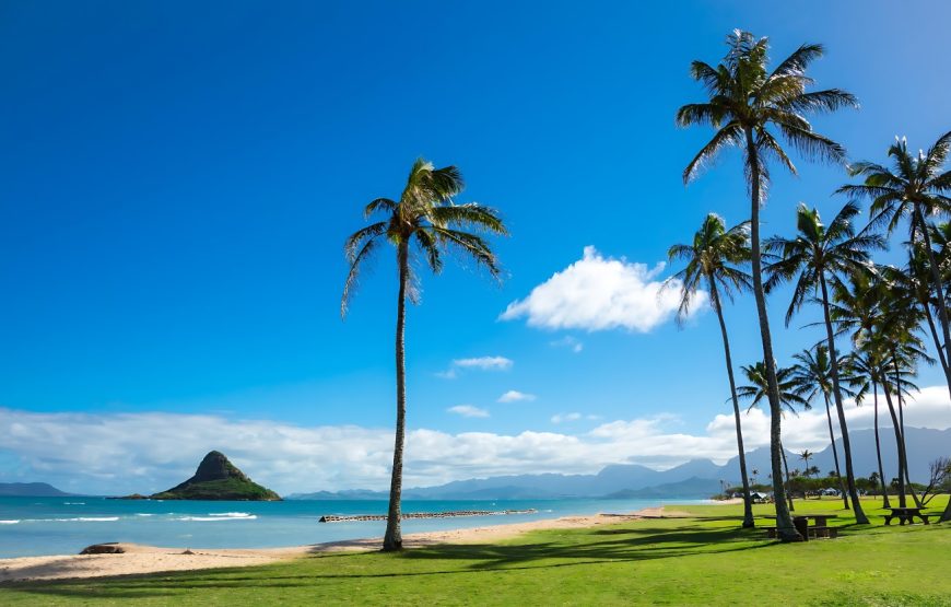 Best of Oahu: Circle Island Day Tour with Byodo-In Temple