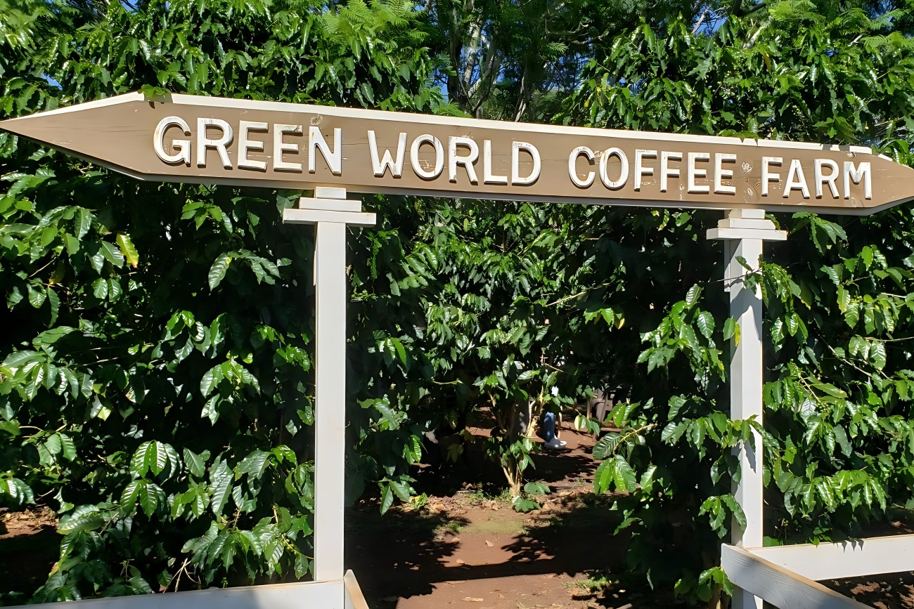 Green World Coffee Farm 