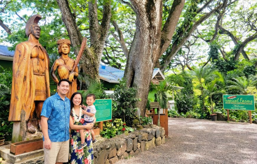 Best of Oahu: Circle Island Day Tour with Byodo-In Temple