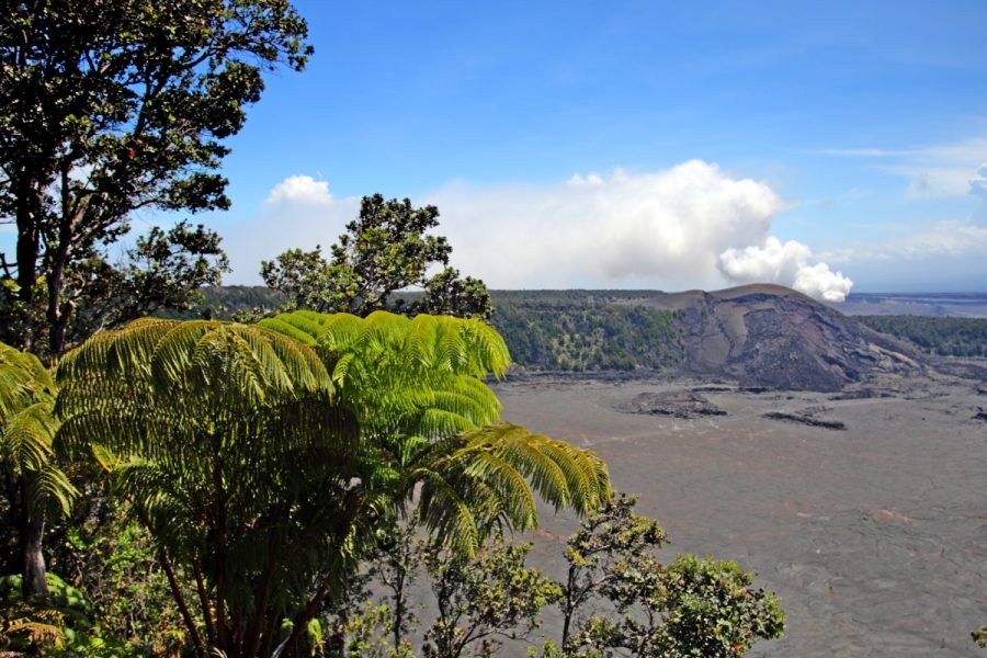 Big Island Hilo Volcano Day Tour from Oahu