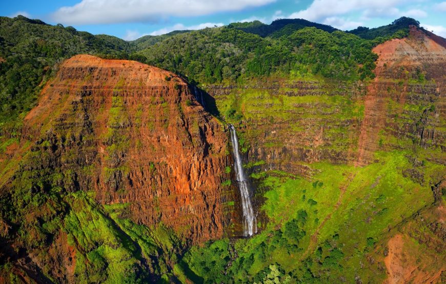 Kauai Highlights Day Tour with Cruise Ship & Airport Pickup
