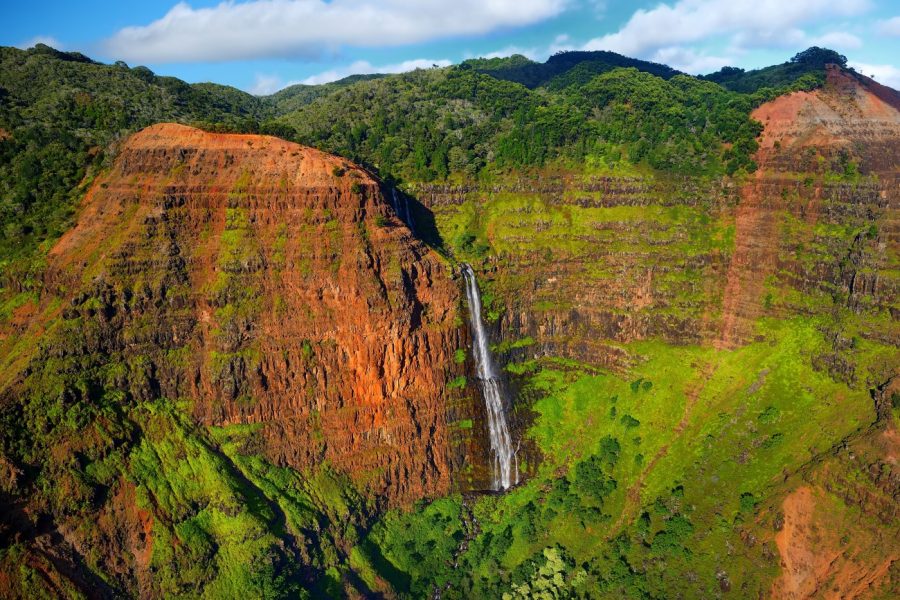 Kauai Highlights Day Tour with Cruise Ship & Airport Pickup