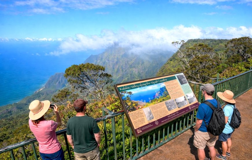 Kauai Highlights Day Tour with Cruise Ship & Airport Pickup