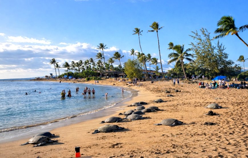 Kauai Highlights Day Tour with Cruise Ship & Airport Pickup