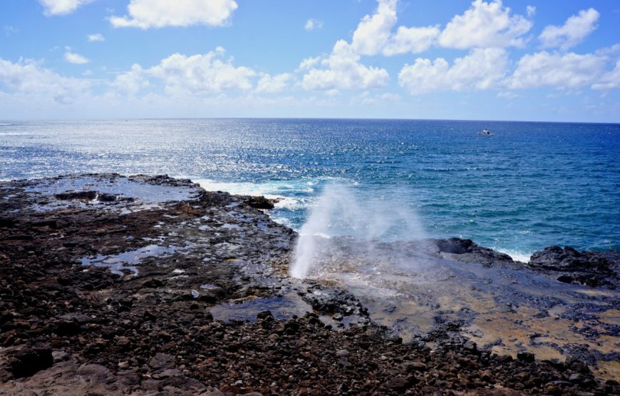 Kauai Highlights Day Tour with Cruise Ship & Airport Pickup