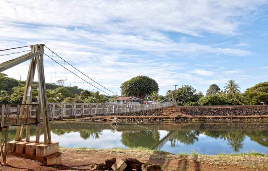 Kauai Highlights Day Tour with Cruise Ship & Airport Pickup