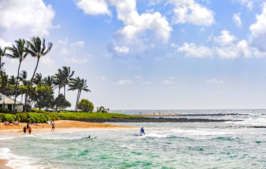 Kauai Highlights Day Tour with Cruise Ship & Airport Pickup