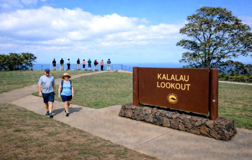 Kauai Highlights Day Tour with Cruise Ship & Airport Pickup