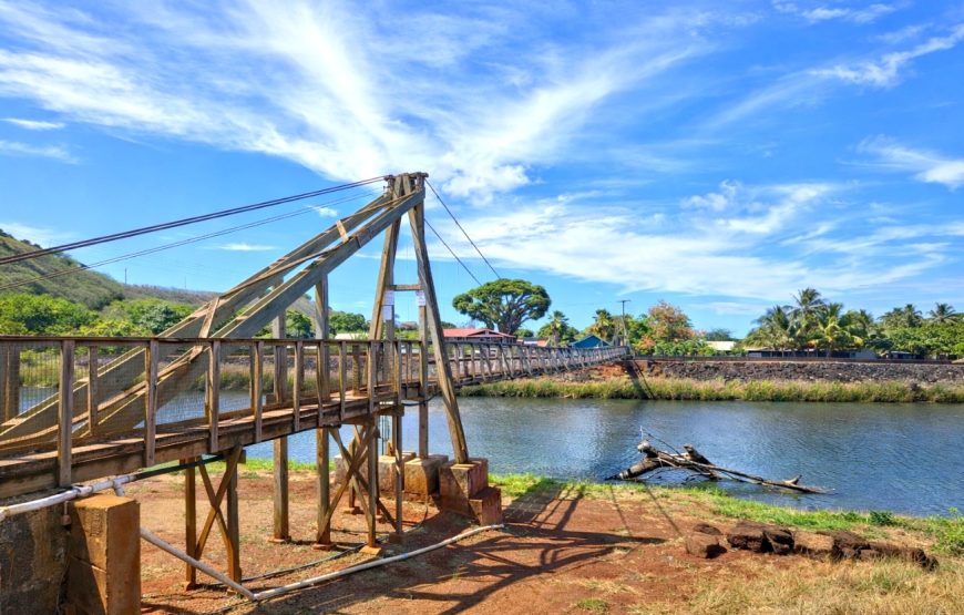Kauai Highlights Day Tour with Cruise Ship & Airport Pickup