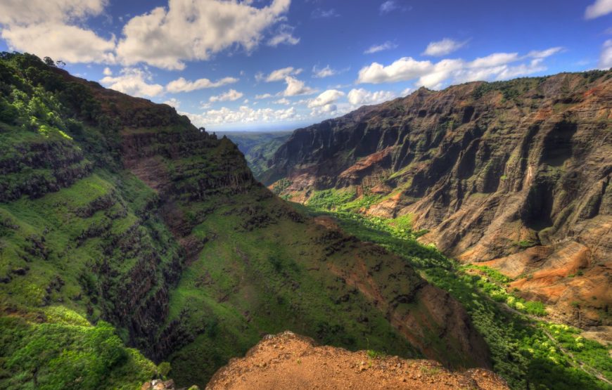 Kauai Highlights Day Tour with Cruise Ship & Airport Pickup