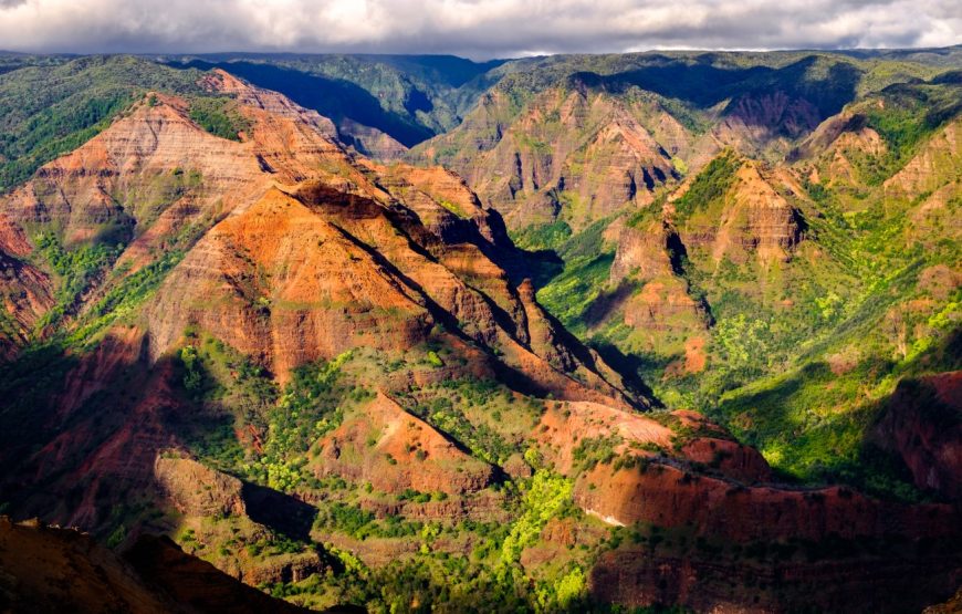Kauai Highlights Day Tour with Cruise Ship & Airport Pickup