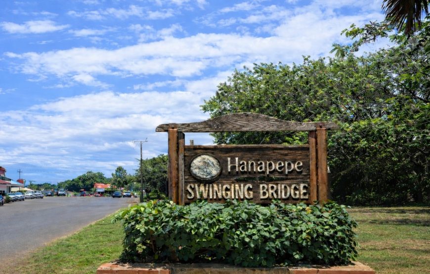 Kauai Highlights Day Tour with Cruise Ship & Airport Pickup