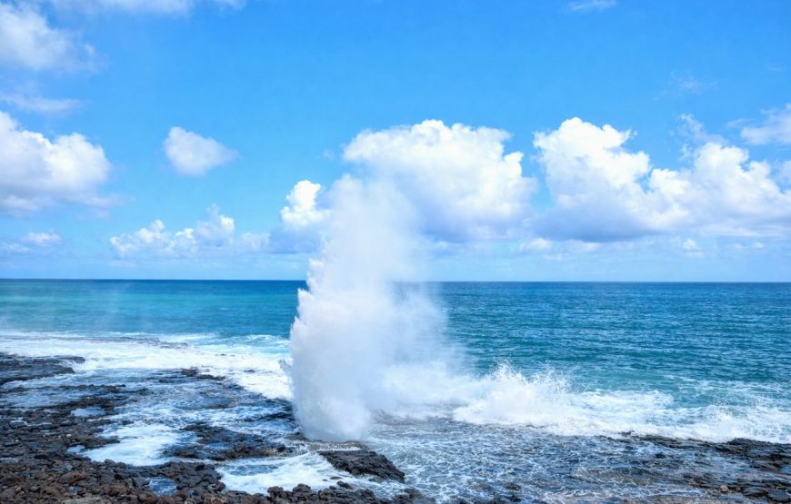 Kauai Highlights Day Tour with Cruise Ship & Airport Pickup