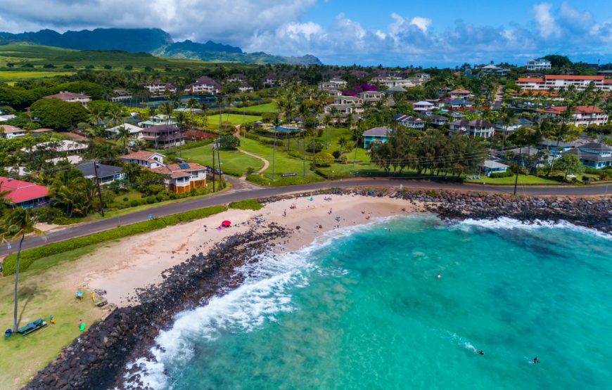 Kauai Highlights Day Tour with Cruise Ship & Airport Pickup
