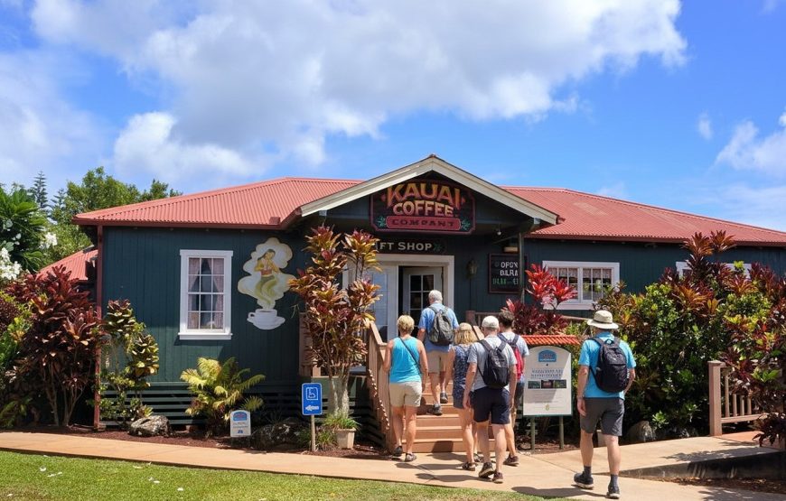 Kauai Highlights Day Tour with Cruise Ship & Airport Pickup