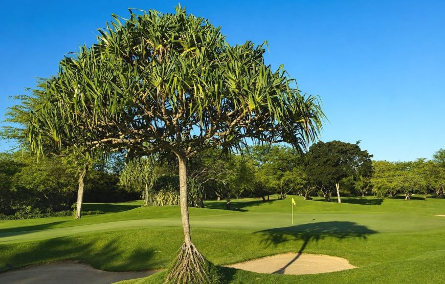 Ewa Beach Golf 18-Hole Round & Hotel Pickup Service