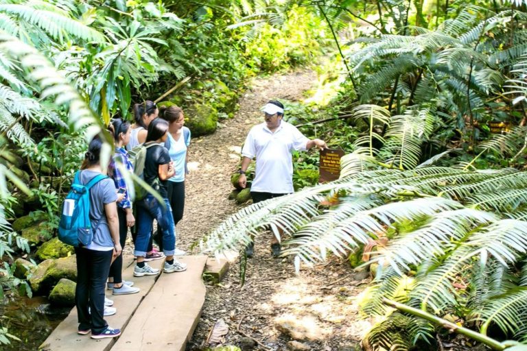 Guided walk through Waimea Valley