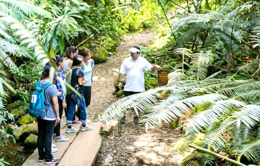 And You Creations Day Tours