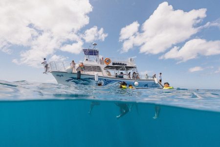 And You Creations Ocean Tours