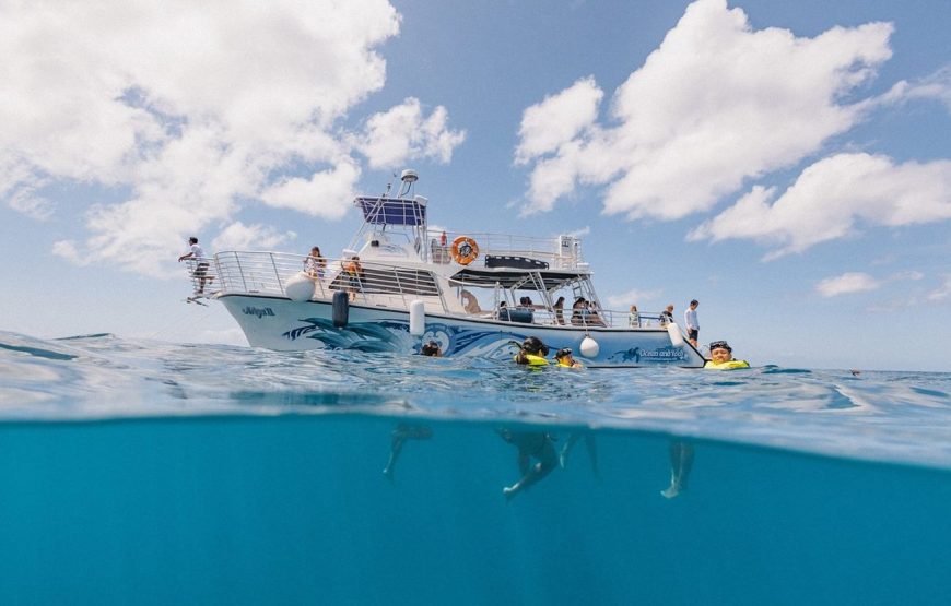 And You Creations Ocean Tours