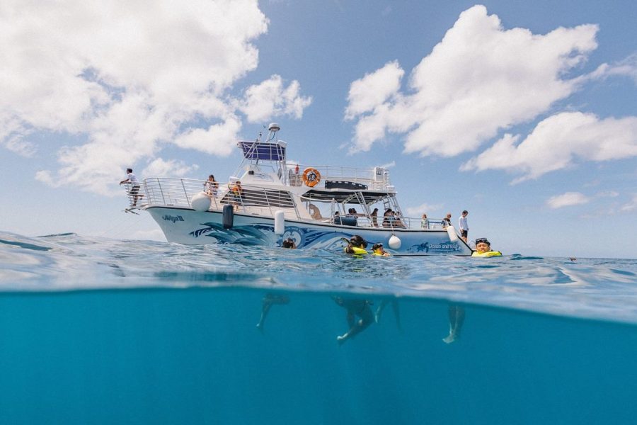 And You Creations Ocean Tours