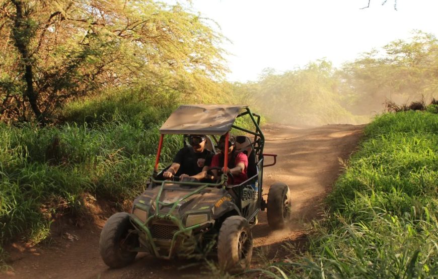 Coral Crater Adventure Park