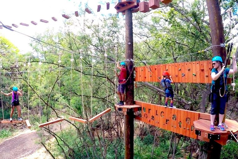 Aerial adventure course and climbing wall at Coral Crater