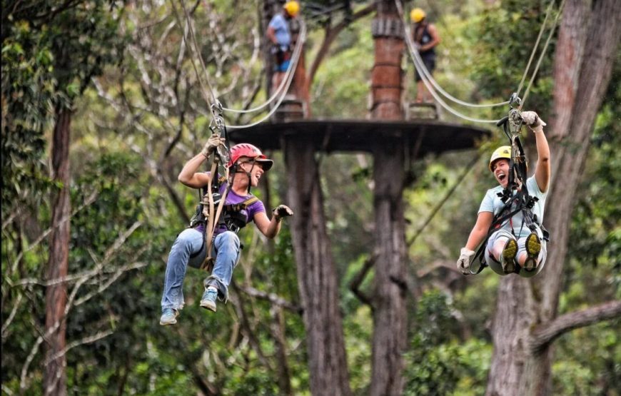 Big Island Zipline Tours