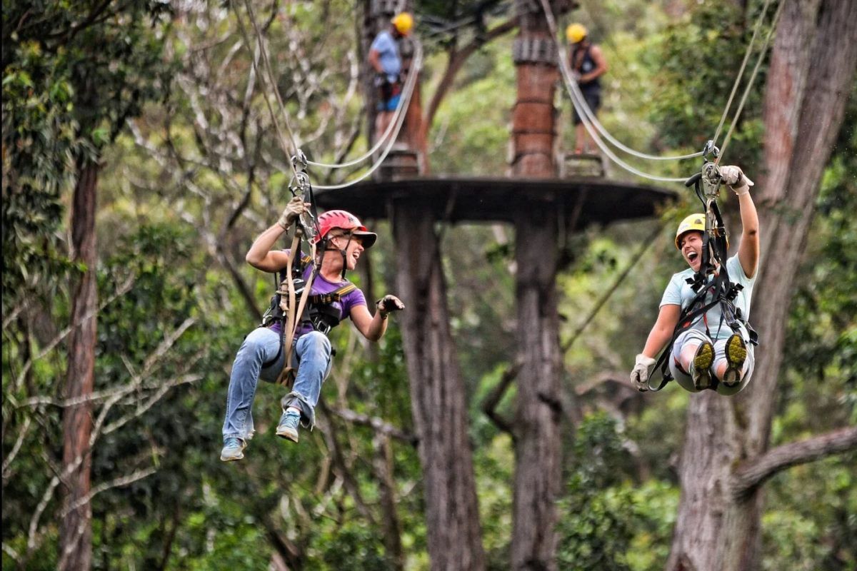 Big Island Zipline Tours