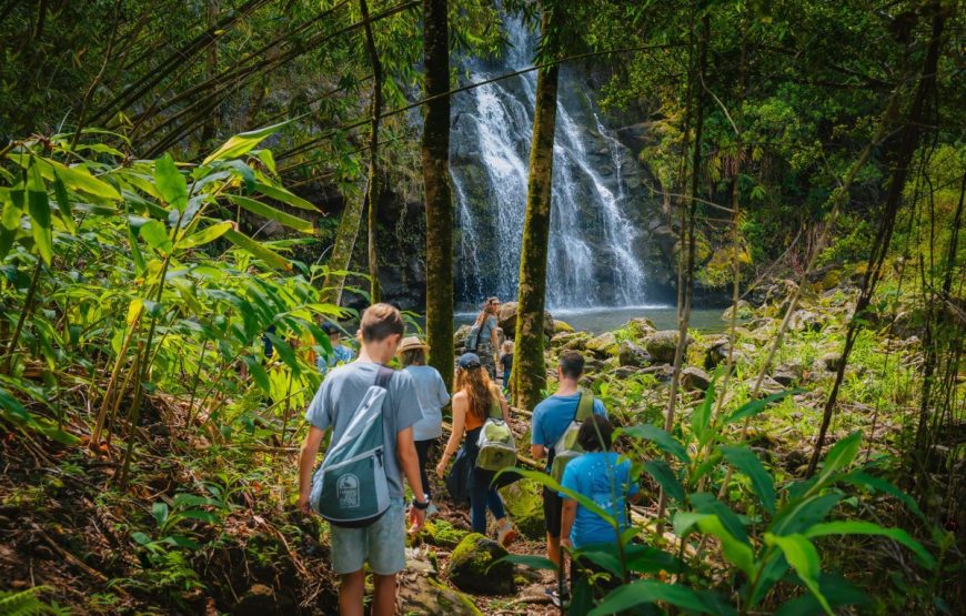 Big Island Volcano Tours