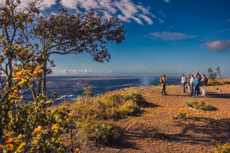 Group at a crater overlook in Hawaii Volcanoes National Park