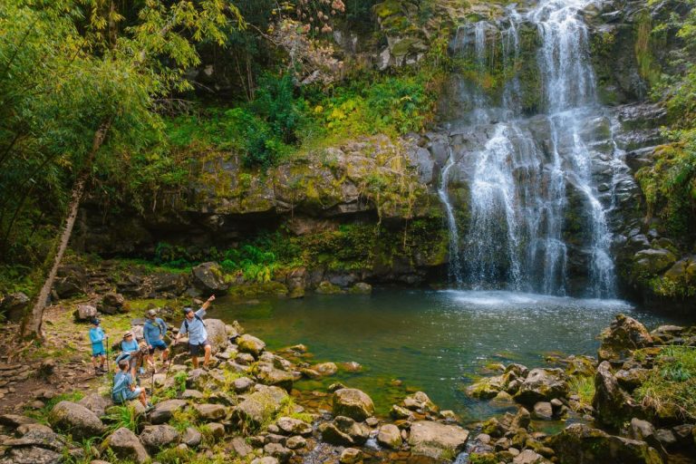 Group at a freshwater pool below a Kohala waterfall