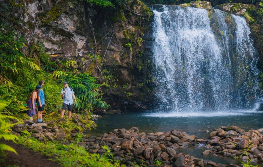 Big Island Zipline Tours
