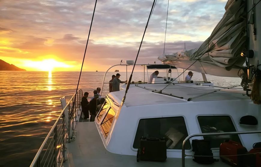 Makani Catamaran Waikiki Sails