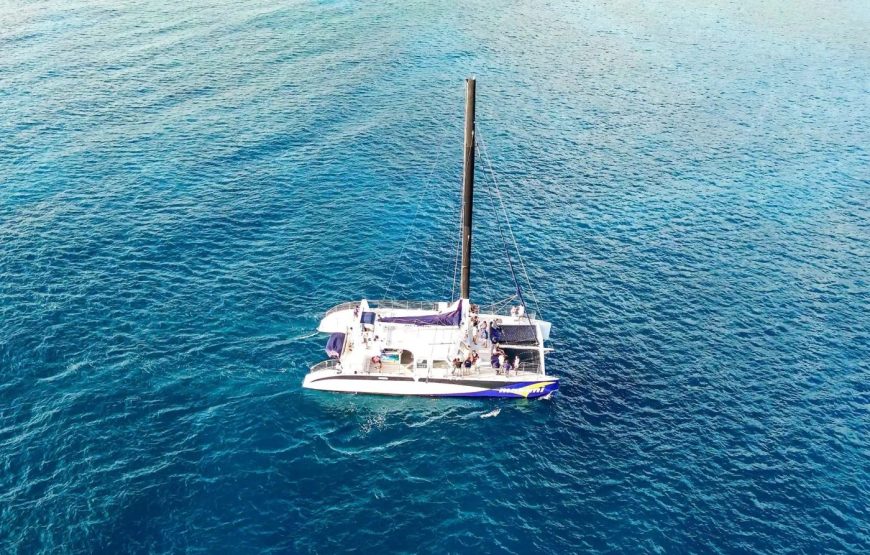 Makani Catamaran Waikiki Sails