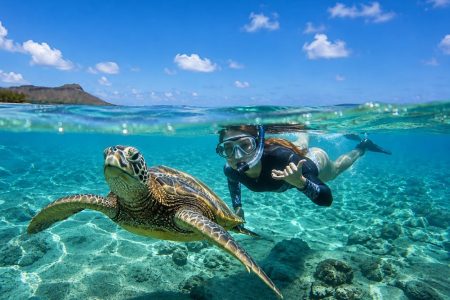 Turtle Snorkeling