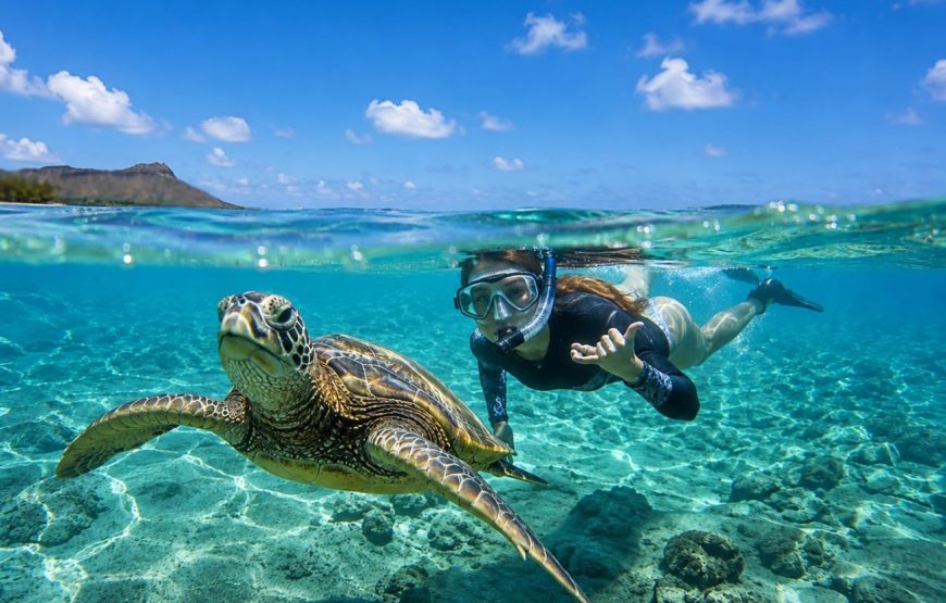 Turtle Snorkeling